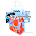 China factory pp plastic gift bag package